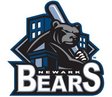 Parceria entre Rádio Comunidade USA e Newark Bears Baseball