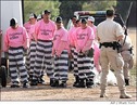 Sheriff Joe Arpaio Arrest 77 illegal immigrants after immigration arrest training of 900 deputies