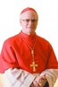 Dom Odilo Scherer nega que novo papa esteja definido antes do conclave