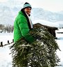 CITY OF NEWARK TO COLLECT OLD CHRISTMAS TREES  STARTING ON JANUARY 9, 2012, THROUGH FEBRUARY 3, 2012